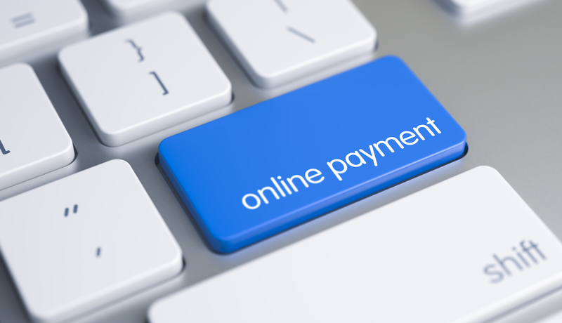 Flexible Online Payment Platforms