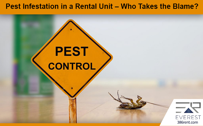 Pest Control Solutions In Pasco