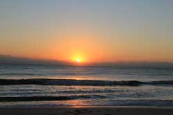 Palm Coast Property Management